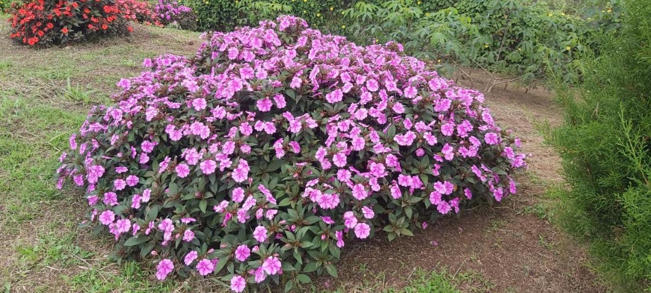 El Rincon De Las Flores Bajo Tigre 외부 사진